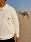 Picture of Camel Design Hoodie