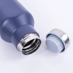 Picture of Multi Colors 500 ML Hot and Cold Beverage Conical Bottle (With Name Printing)