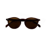 Picture of Brown Brooks Sunglasses Unisex