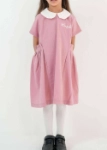 Picture of Pink Elementary School Dress For Girls BTS2 (With Name Embroidery Option)