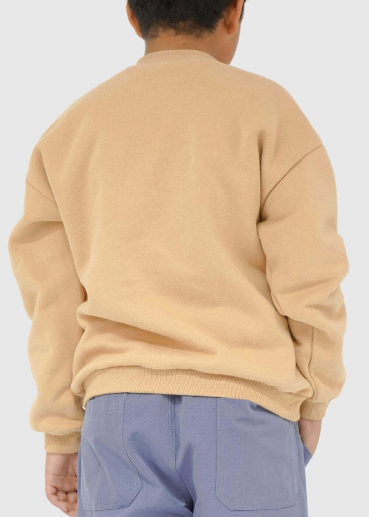 Picture of Tiya Sweatshirt For Boys B0204 